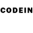Псилоцибиновые грибы GOLDEN TEACHER John Plen