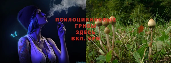 прущая мука Заводоуковск